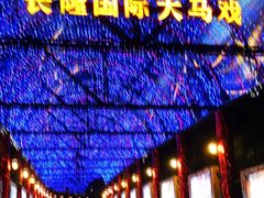 -广州长隆国际大马戏