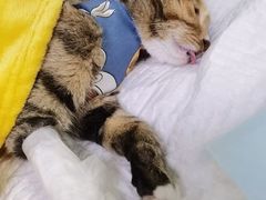 -达爱动物医院·犬猫分区·CT·复杂眼科(远洋山水分院)