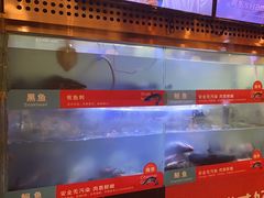 -三江源活鱼现烤(维多利摩尔城店)