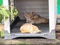 -广州长隆野生动物世界