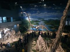 -自贡恐龙博物馆