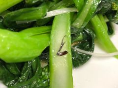 -海景壹号大酒店(滨湖店)