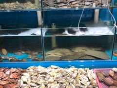 水产区-1910老鲁味海鲜·戳子肉·青岛菜(金沙滩店)