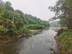 -黔灵山公园