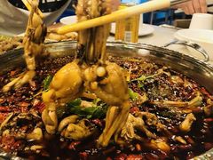 -麻辣巅峰美蛙鱼头火锅(犀浦店)