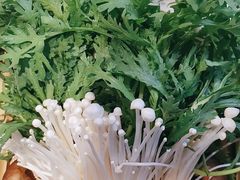 -蝎王府羊蝎子(西直门店)
