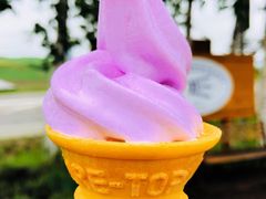 -富田农场