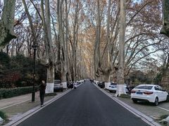 -灵谷景区