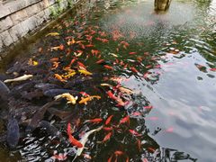 -红螺寺