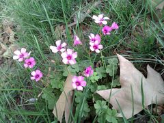 外景-河南省黄河迎宾馆