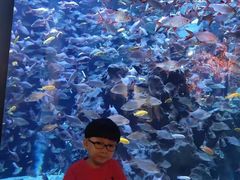 -成都浩海立方海洋公园