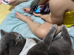 -芭比堂爱心动物医院·心脏科·犬猫内科(越城可乐分院)