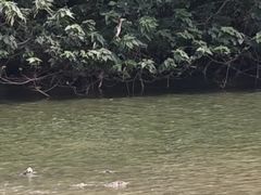 -海珠湖公园