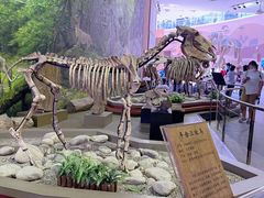 -陕西自然博物馆