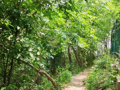 -紫金山山顶公园