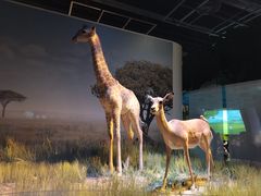 -香港科学馆