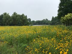 -梁鸿国家湿地公园