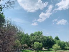 -洱海月湿地公园