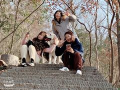 -紫金山索道-售票处