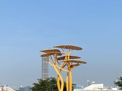 -IBOBI早教·托班·国际家庭互动成长中心(欢乐海岸中心)