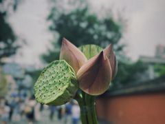 -成都市文殊院
