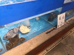 水产区-吕宋海鲜楼
