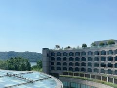 -杭州君悦酒店