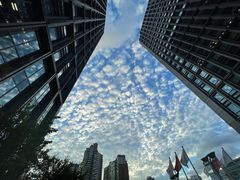 -陆家嘴世纪金融广场