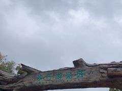 -杭州野生动物世界