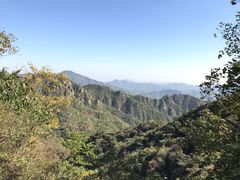 -大岭沟猕猴桃谷风景区