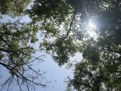 -森林公园(尖草坪区)