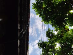 -大湾金牌万州烤鱼(沙河店)