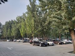 -圆明园停车场