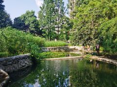 -成都市活水公园