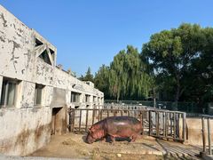 -保定市动物园