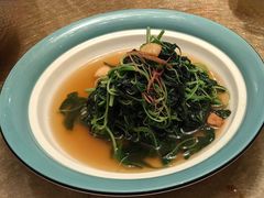 -上海总会SHANGHAICLUB(兴业太古汇店)