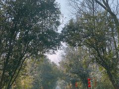 -南京东郊国宾馆