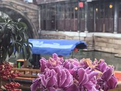 -水乡·印象咖啡馆(周庄店)
