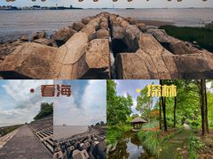 -上海滨江森林公园