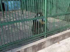 -秦皇岛野生动物园