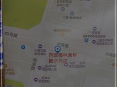 -范饭椰林川湘味海鲜·椰子鸡(三亚湾椰梦长廊店)