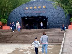 -中国西峡恐龙遗迹园