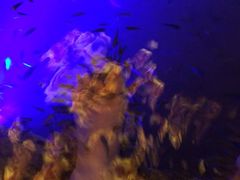 iphone_upload_pic-宝丽金大酒店·洗浴中心
