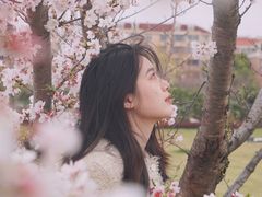 -上海财经大学(国定路校区)