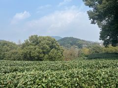 -西湖风景区十里琅珰-五云山