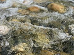 -黑河国家森林公园