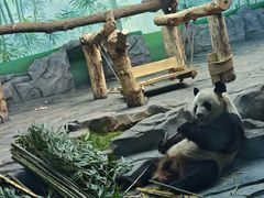 -秦皇岛野生动物园