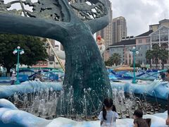 -海合安成都极地海洋公园