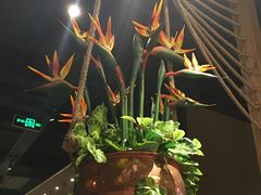 -云海肴·汽锅鸡·云南菜(天津国金汇店)