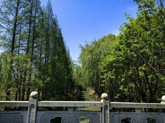 -同里国家湿地公园